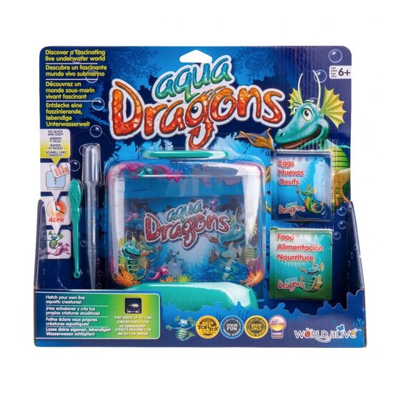 Aqua Dragons fun