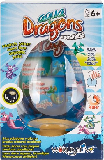 Eggspress Aqua Dragons Fun2