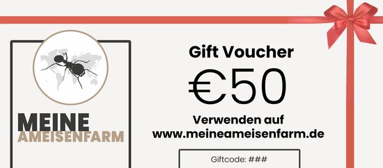 Cadeaubon 50 euro