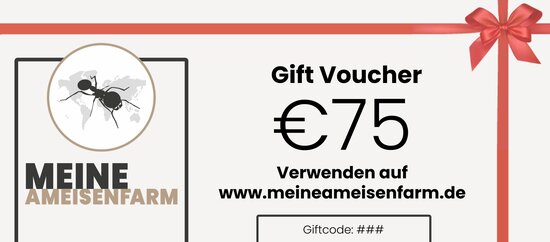 Cadeaubon 75 euro