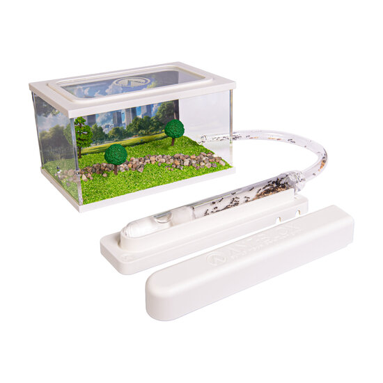 Startset docking open