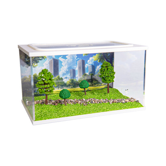 City Square WIT (Arena 20x13x12)