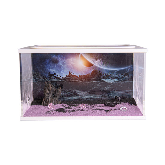 City Square WIT (Arena 20x13x12)