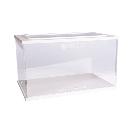 City Square WIT (Arena 20x13x12)