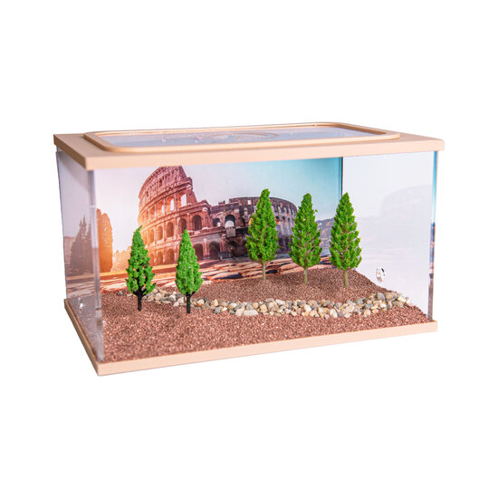 City Square BRUIN (Arena 20x13x12)