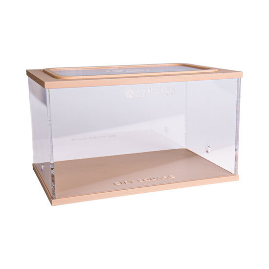 City Square BRUIN (Arena 20x13x12)