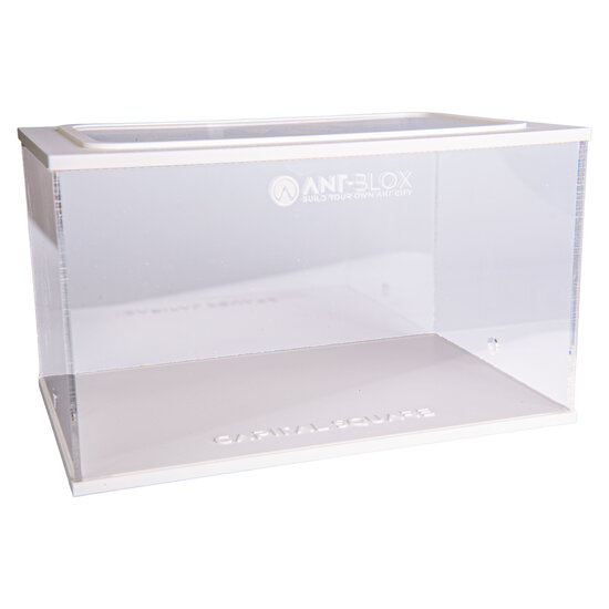 Capital Square WIT (Arena 25x16x15)