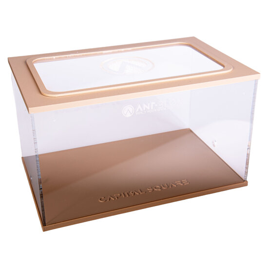 Capital Square BRUIN (Arena 25x16x15)