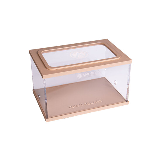 Town Square BRUIN (Arena 15x10x9)