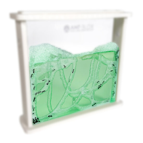 Gel refill groen met mieren