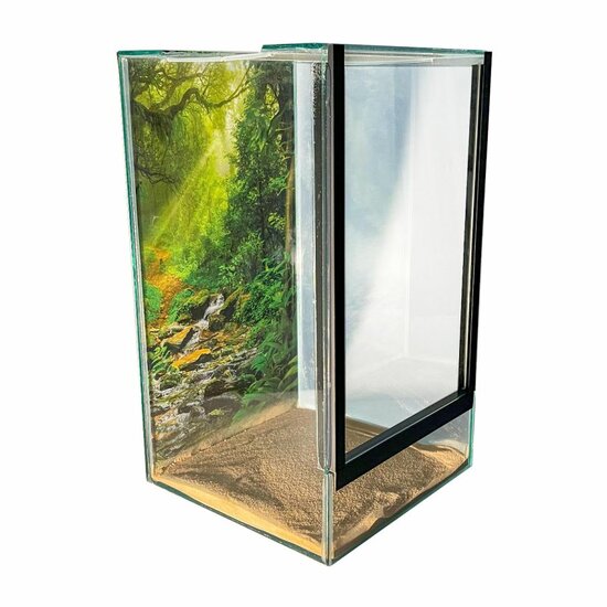 Insecten Terrarium 