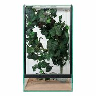 Insecten Terrarium 