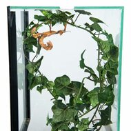 Insecten Terrarium 