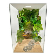 Insecten Terrarium CUBE Cross deluxe 20x20x30