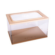 City Square BRUIN (Arena 20x13x12)