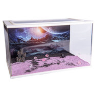 Capital Square WIT (Arena 25x16x15)