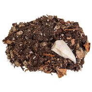 Bodemsubstraat Isopods