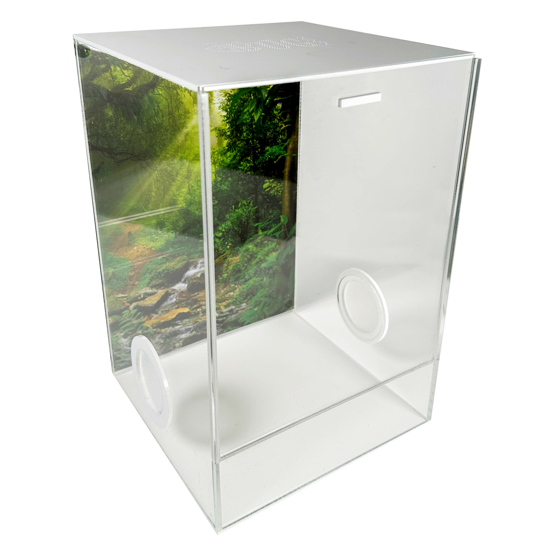Insecten Terrarium CUBE Cross deluxe 20x20x30