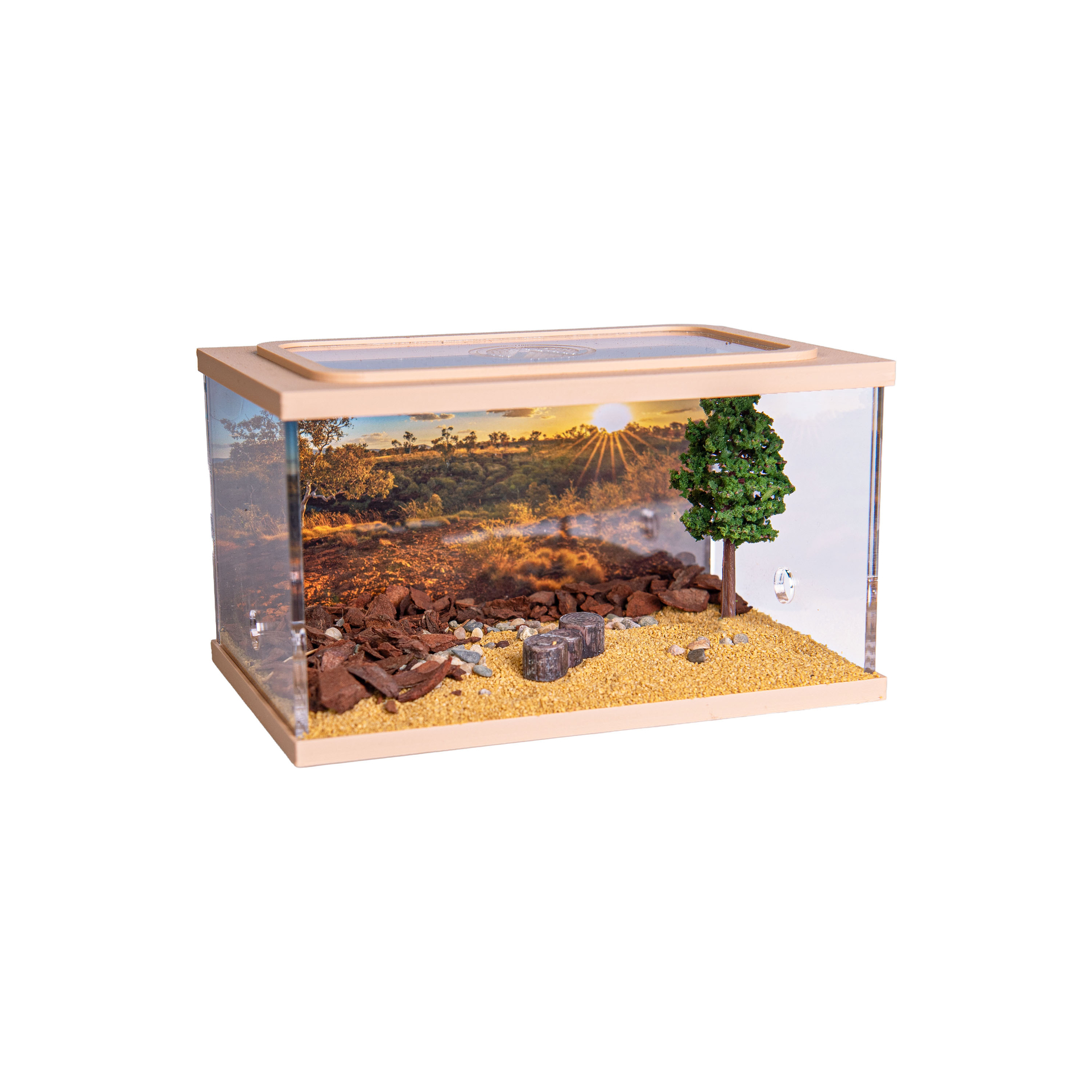 Town Square BRUIN (Arena 15x10x9)