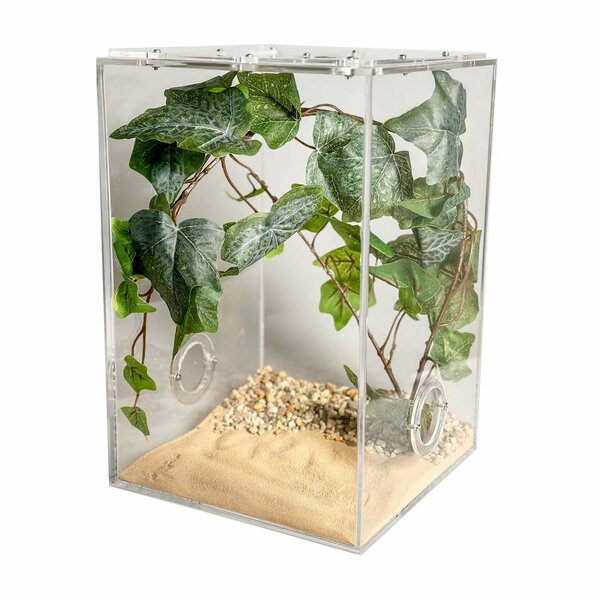 Insecten Terrarium CUBE Cross deluxe 20x20x30