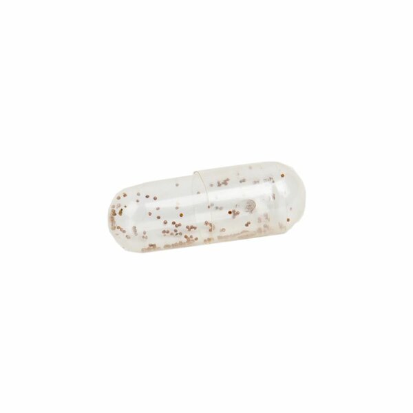 Triops Longicaudatus eitjes capsule
