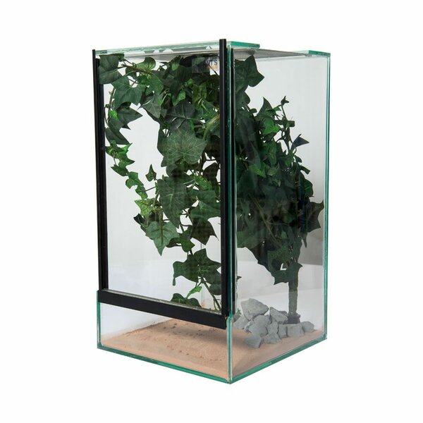 Insecten Terrarium