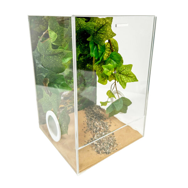 Insecten Terrarium CUBE Cross deluxe 20x20x30