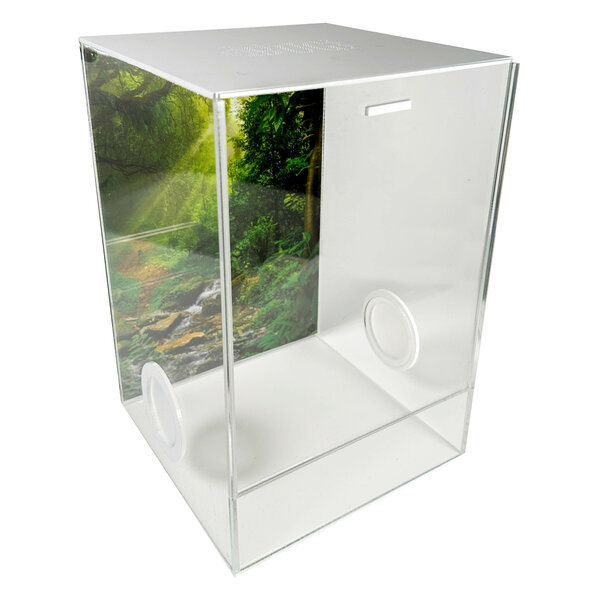 Insecten Terrarium CUBE Cross deluxe 20x20x30