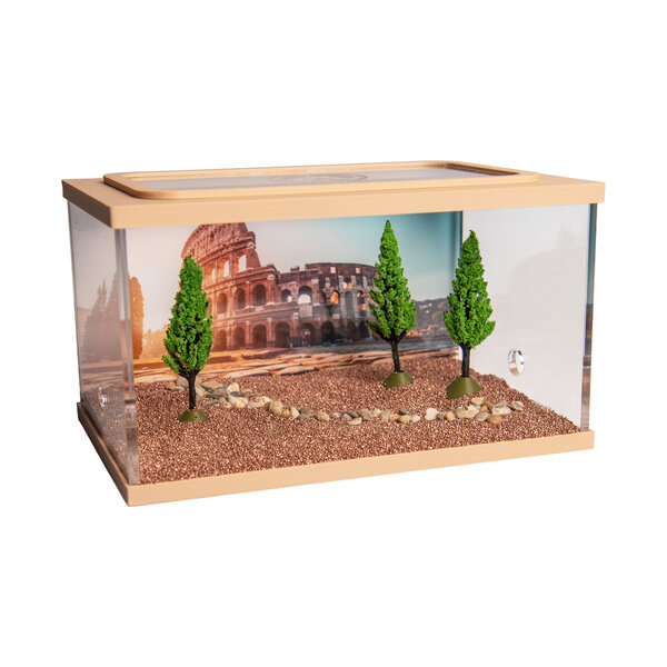 Town Square BRUIN (Arena 15x10x9)