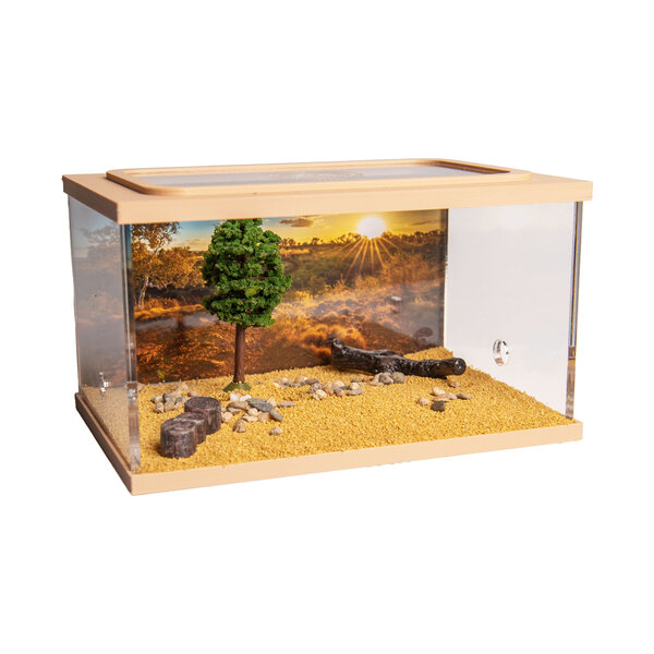 Town Square BRUIN (Arena 15x10x9)