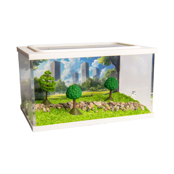 Town Square WIT (Arena 15x10x9)