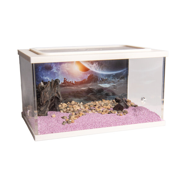 Town Square WIT (Arena 15x10x9)