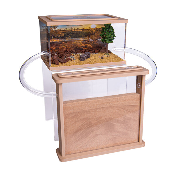 Mierenboerderij zand oogstmieren complete set (Messor barbarus)