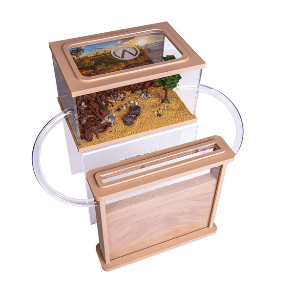 Mierenboerderij zand oogstmieren complete set (Messor barbarus)