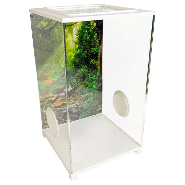 Insecten Terrarium - BioDome Wit (20x20x34)