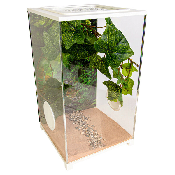 Insecten Terrarium - BioDome Wit (20x20x34)