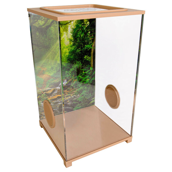 Insecten Terrarium – BioDome Bruin (20x20x34)