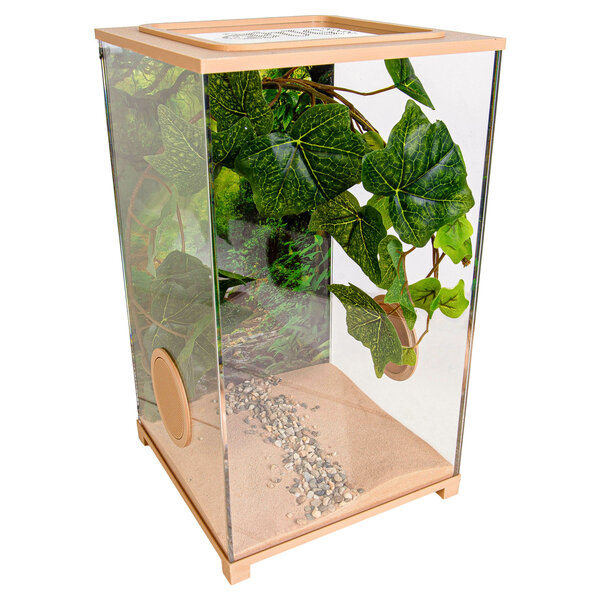 Insecten Terrarium – BioDome Bruin (20x20x34)