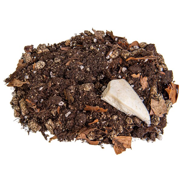 Isopods Kweekbodem – Compleet Substraat met Voeding & Sepia