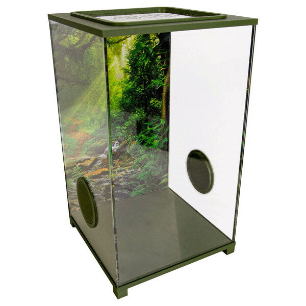 Insecten Terrarium – BioDome Groen (20x20x34)