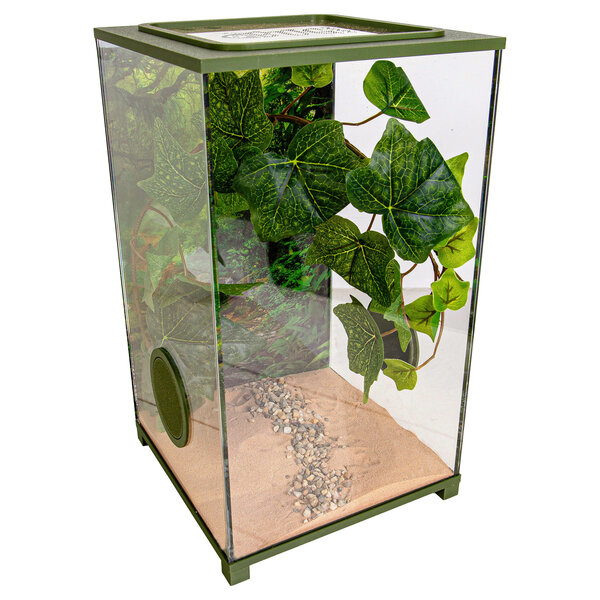 Insecten Terrarium – BioDome Groen (20x20x34)
