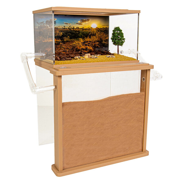 Premium Messor Zand Set 200+ oogstmieren (Messor barbarus)